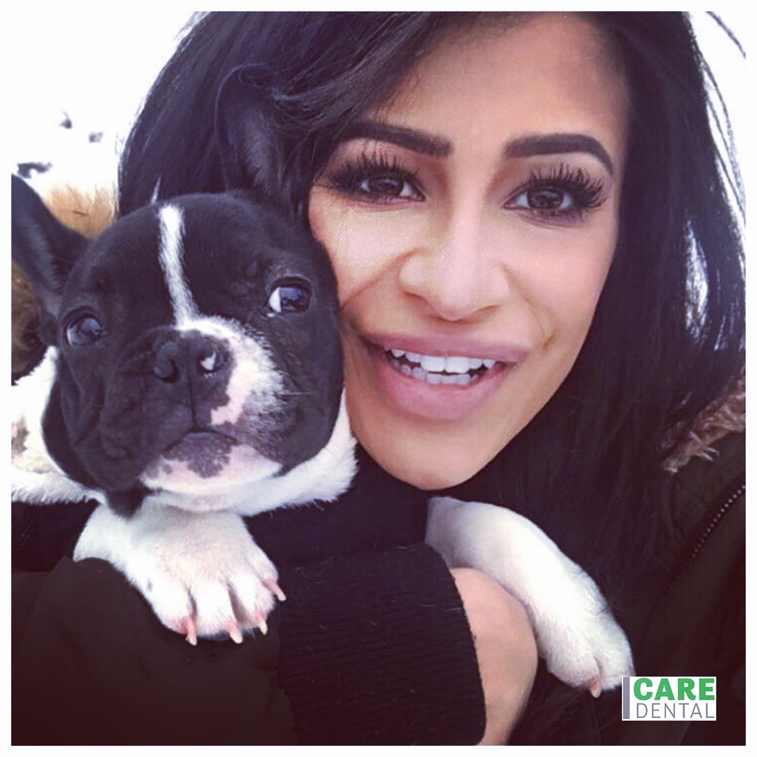 kelowna dentist - care dental - - Boston Terrier