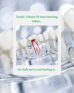 Root Canal at Care Dental Kelowna British Columbia 